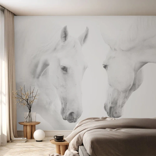 Fotótapéta Premium Sand - Ez a barátság...? - Lovak, Természet, Állatok - 350x256 cm