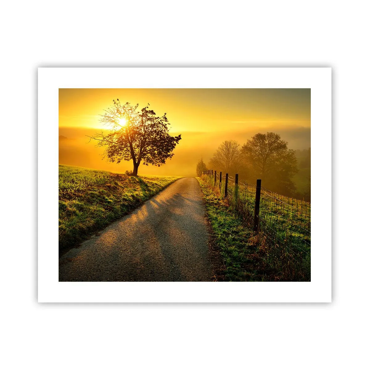 Poszter - Mézes délután - 50x40 cm