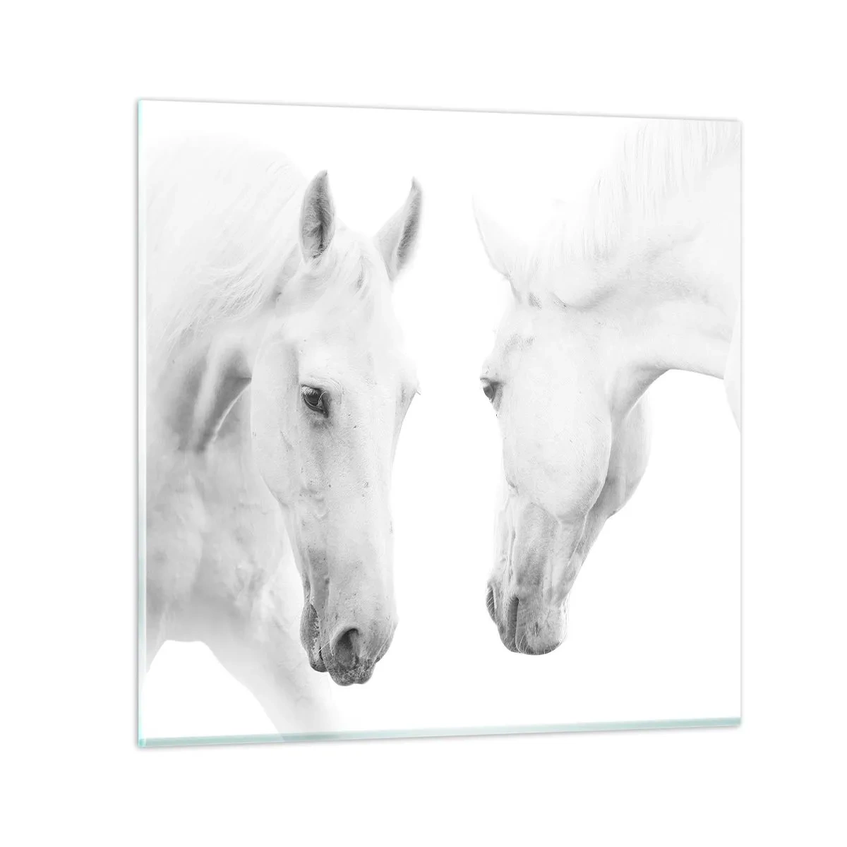 Üveg kép - Ez a barátság...? - 70x70 cm