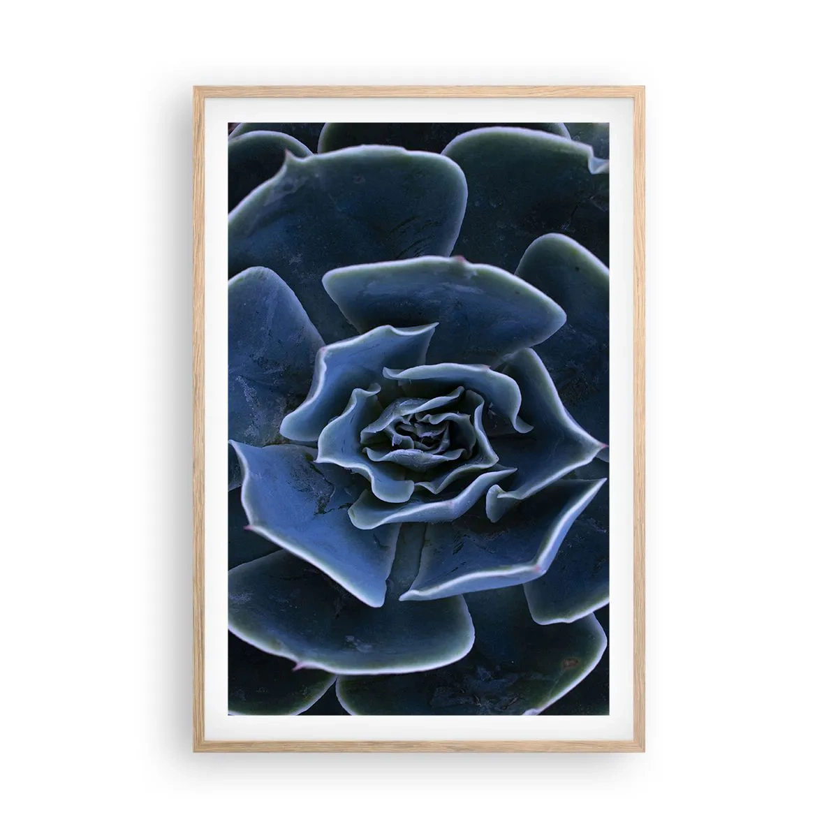 Poszter világos tölgy keretben - A sivatag virága - 61x91 cm