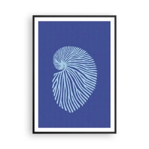 Poszter fehér keretben - Egy kagyló születése - 70x100 cm