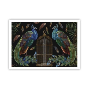 Poszter - Királyi köntösben - 100x70 cm