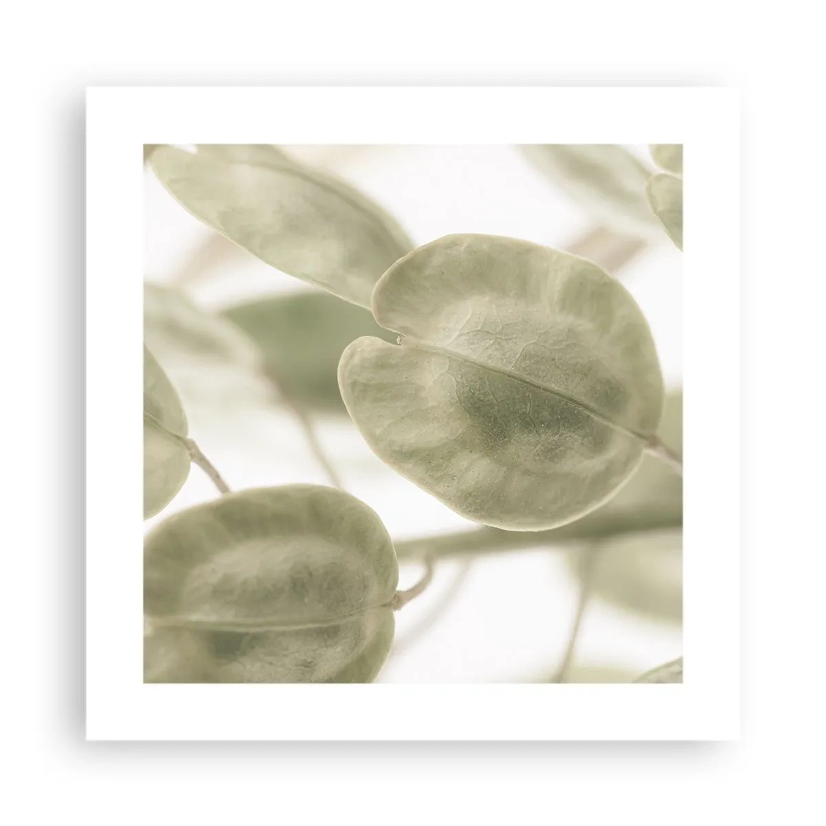 Poszter - Kezdetben levelek voltak... - 40x40 cm