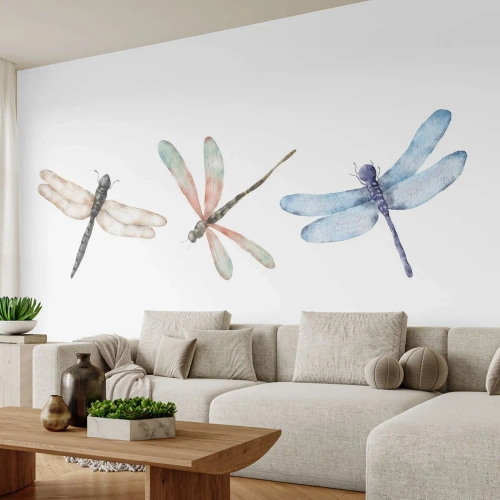 Fotótapéta Standard Eco - Súlytalan szitakötők - Rovarok, Minimalista, Súlyos - 250x175 cm