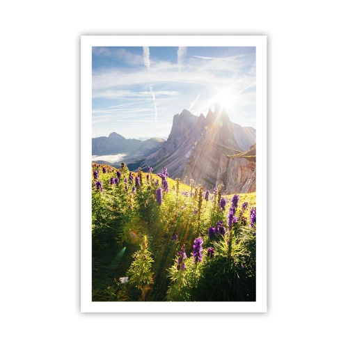 Poszter - A gyógynövények titkos élete - 61x91 cm