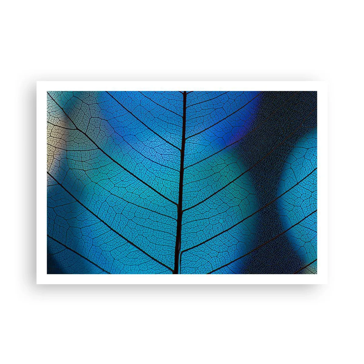 Poszter - Bonyolult konstrukció - 100x70 cm