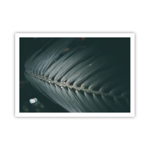 Poszter - A természet pontossága - 100x70 cm