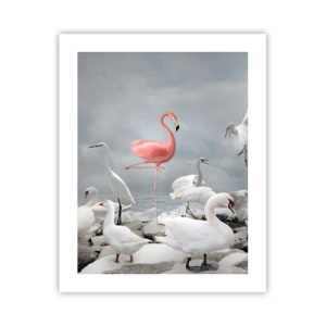 Poszter - Hogy kerültem ide? - 40x50 cm