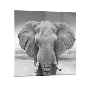 Üveg kép - Üdv a világomban - 70x70 cm