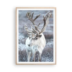 Poszter világos tölgy keretben - Portré a napon - 70x100 cm