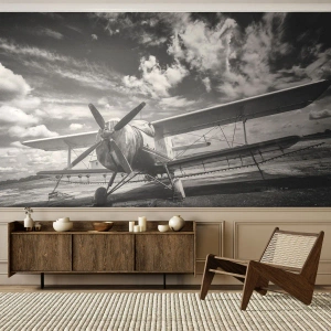 Fotótapéta Standard Eco - Alig várom! - Repülőgép, Repülőgép, Fekete és fehér - 150x105 cm