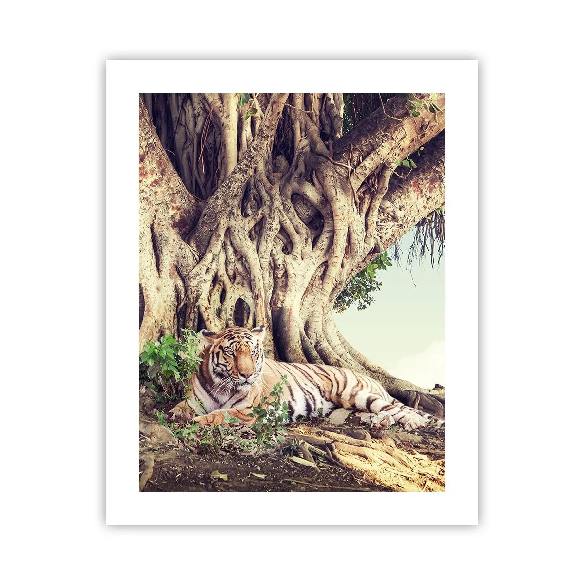 Poszter - Kilátás a Genezis könyvéből - 40x50 cm