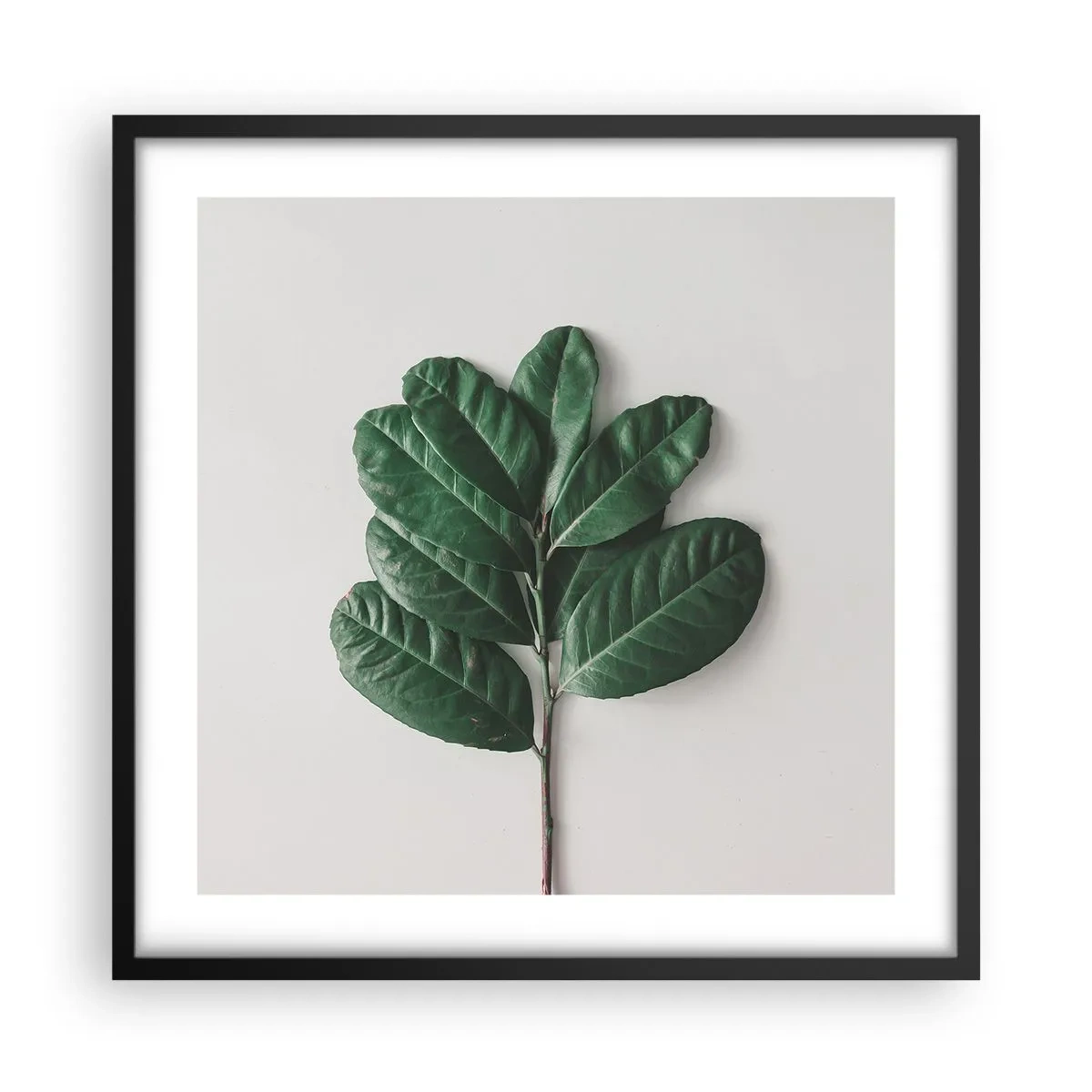 Poszter fehér keretben - Rajz csak a természetről - 50x50 cm