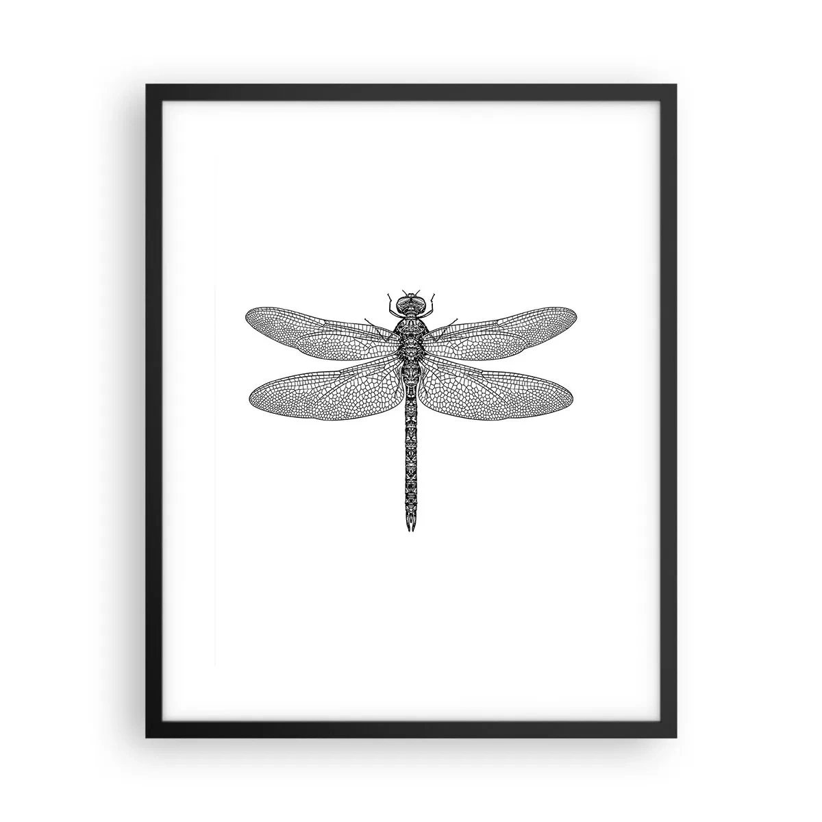 Poszter fehér keretben - A természet precizitása - 40x50 cm