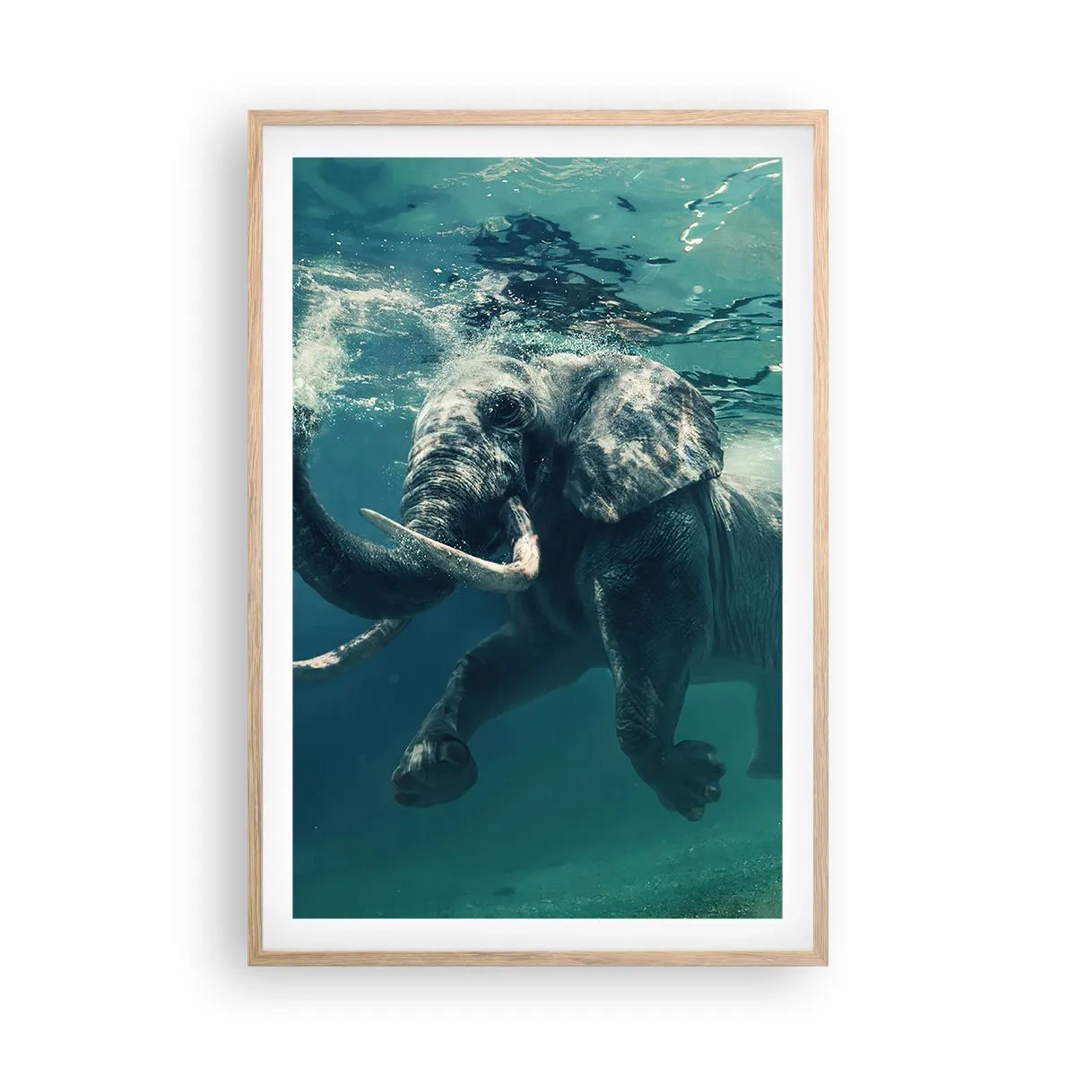 Poszter világos tölgy keretben - Mindenki szeret úszni - 61x91 cm