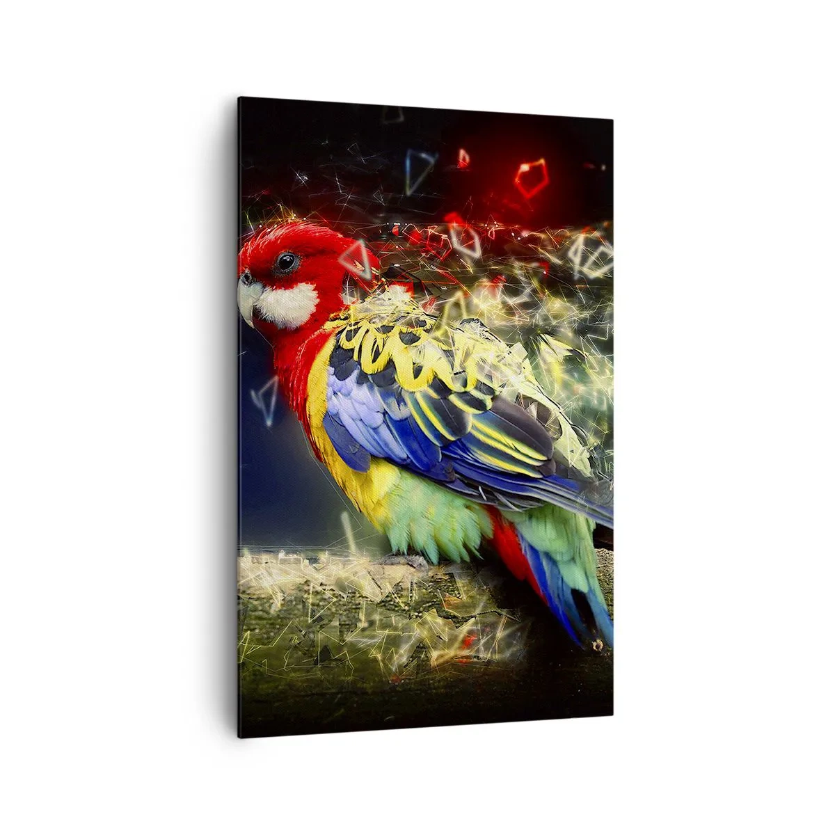 Vászonkép - A ragyogás hírnöke - 80x120 cm