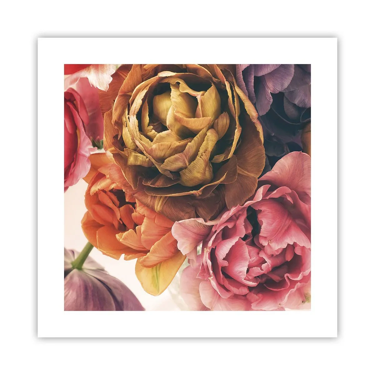 Poszter - Az élet ünnepe - 40x40 cm