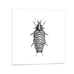 Üveg kép - Micsoda példány! - 70x70 cm