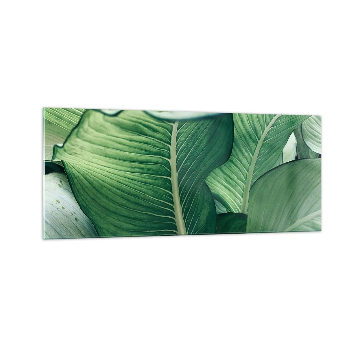 Üveg kép - Intenzíven zöld élet - 100x40 cm