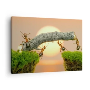 Vászonkép - Hangyák építenek hidat ágakból a lenyugvó nap hátterében. - 70x50cm - Boldog, közös munka - Modern fali dekoráció nappalihoz és hálószobához ARTTOR
