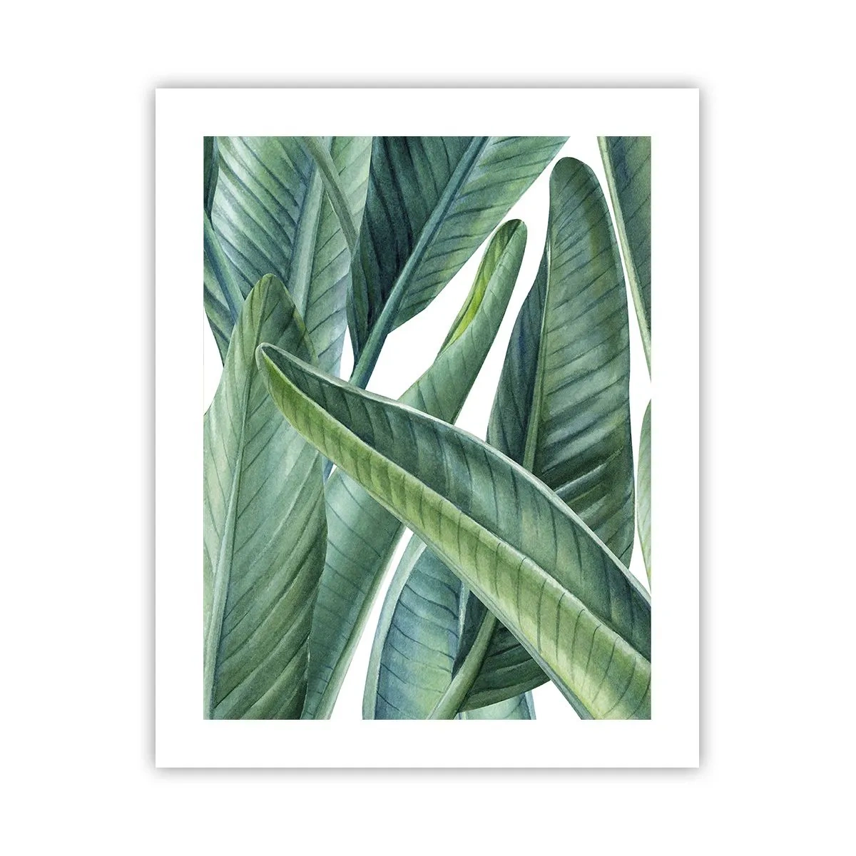 Poszter - Zöld önmagában - 40x50 cm