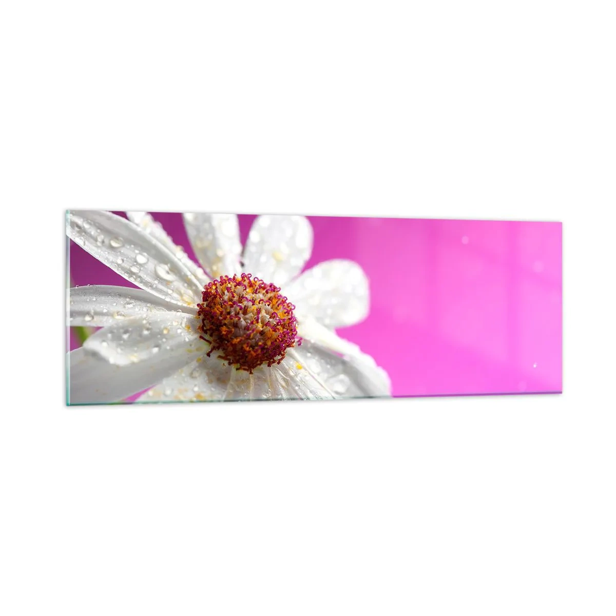 Üveg kép - A Szépségében szerény - 90x30 cm