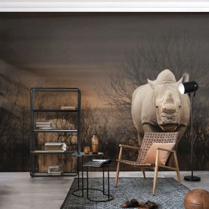 Fotótapéta Premium Sand - Fehér a természet ellen - Orrszarvú, Állatok, Afrika - 500x350 cm