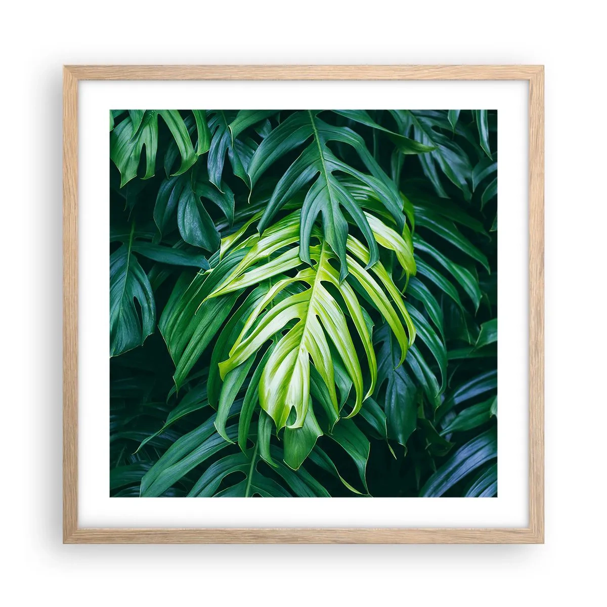 Poszter világos tölgy keretben - Merüljön el a frissességben - 50x50 cm