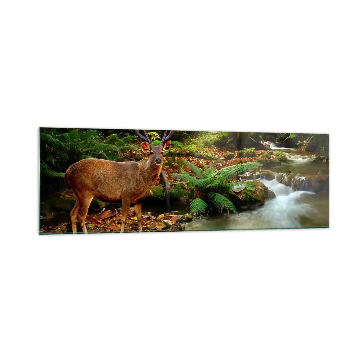 Üveg kép - üdvözöllek a világomban - 160x50 cm