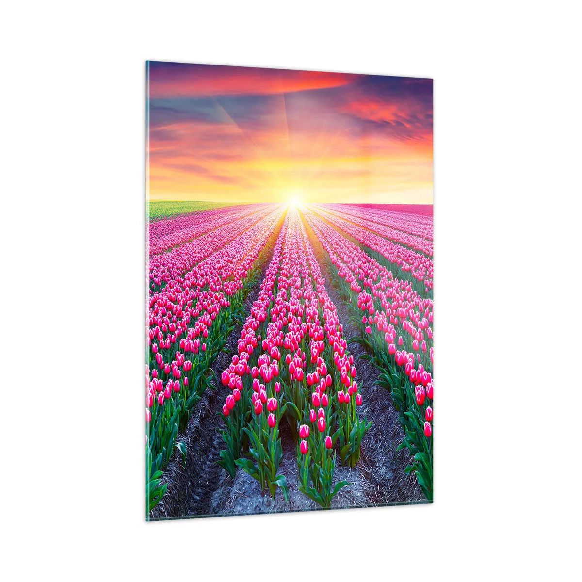 Üveg kép - Gyönyör farm - 50x70 cm