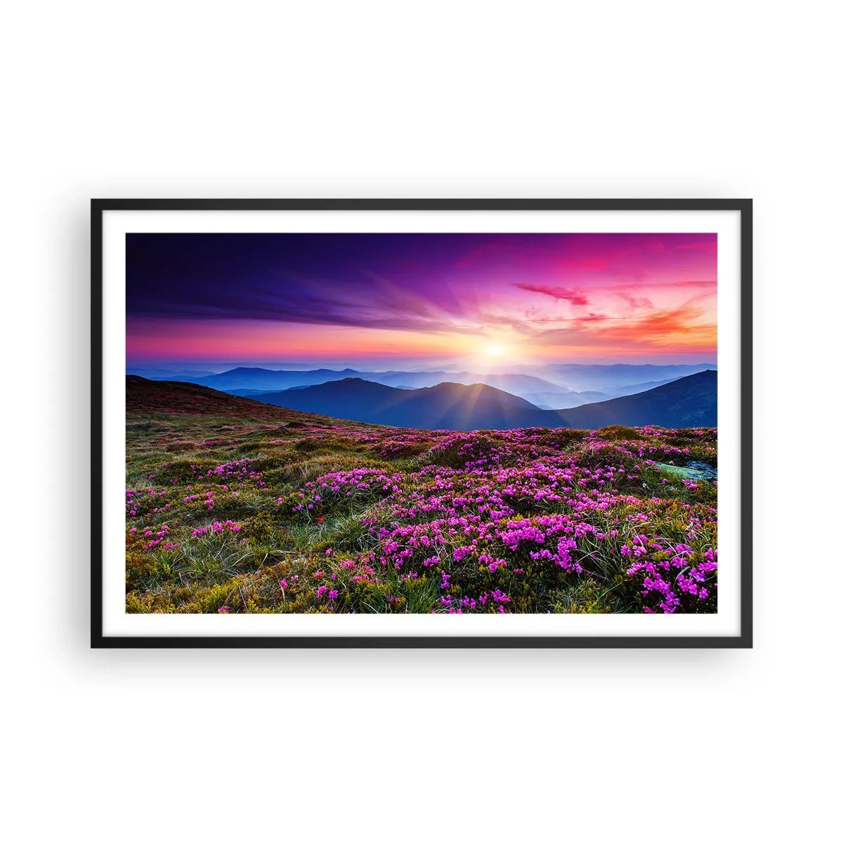 Poszter fehér keretben - A gyógynövények friss fürtjei illatoztak a mezőkről - 91x61 cm