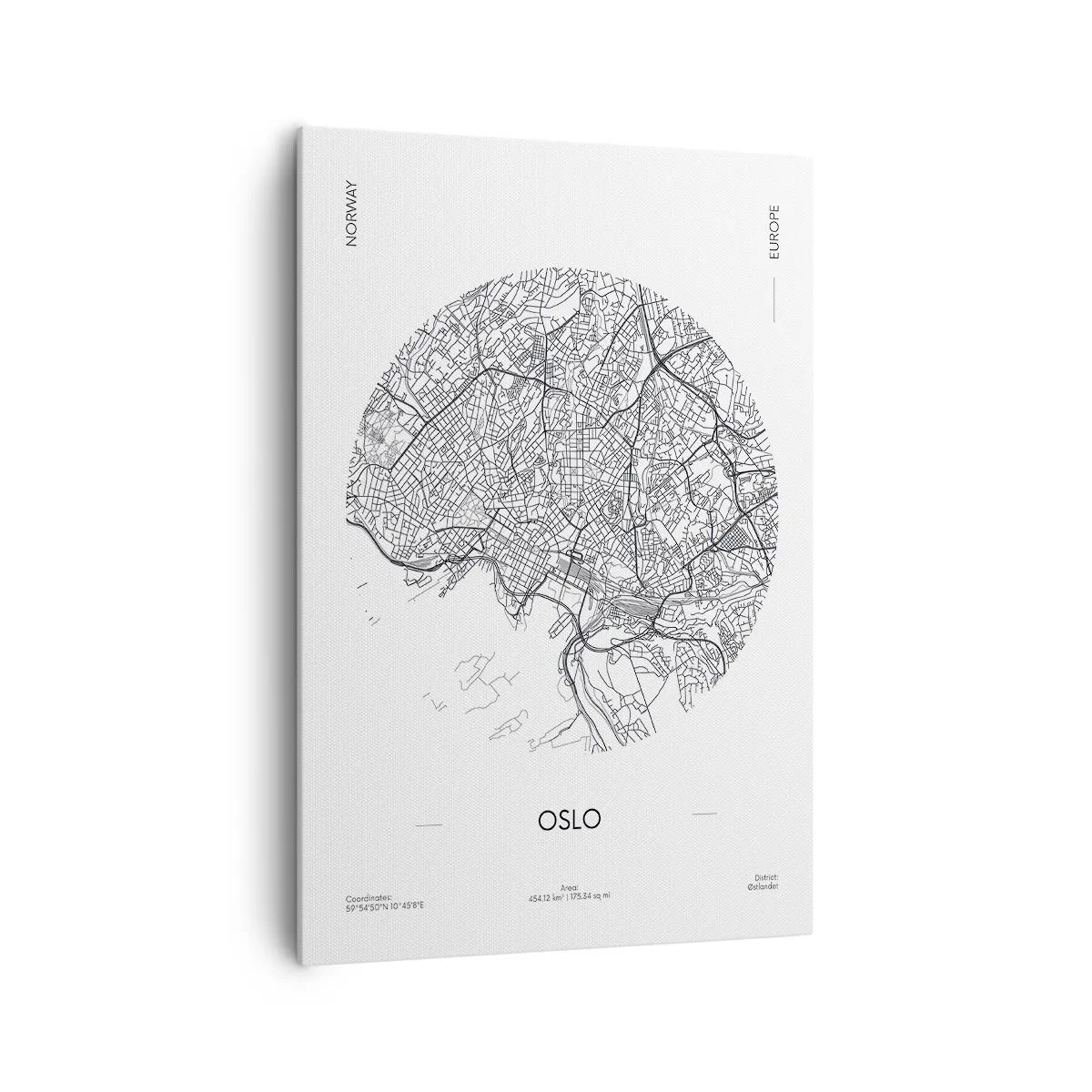 Vászonkép - Oslo anatómiája - 70x100 cm