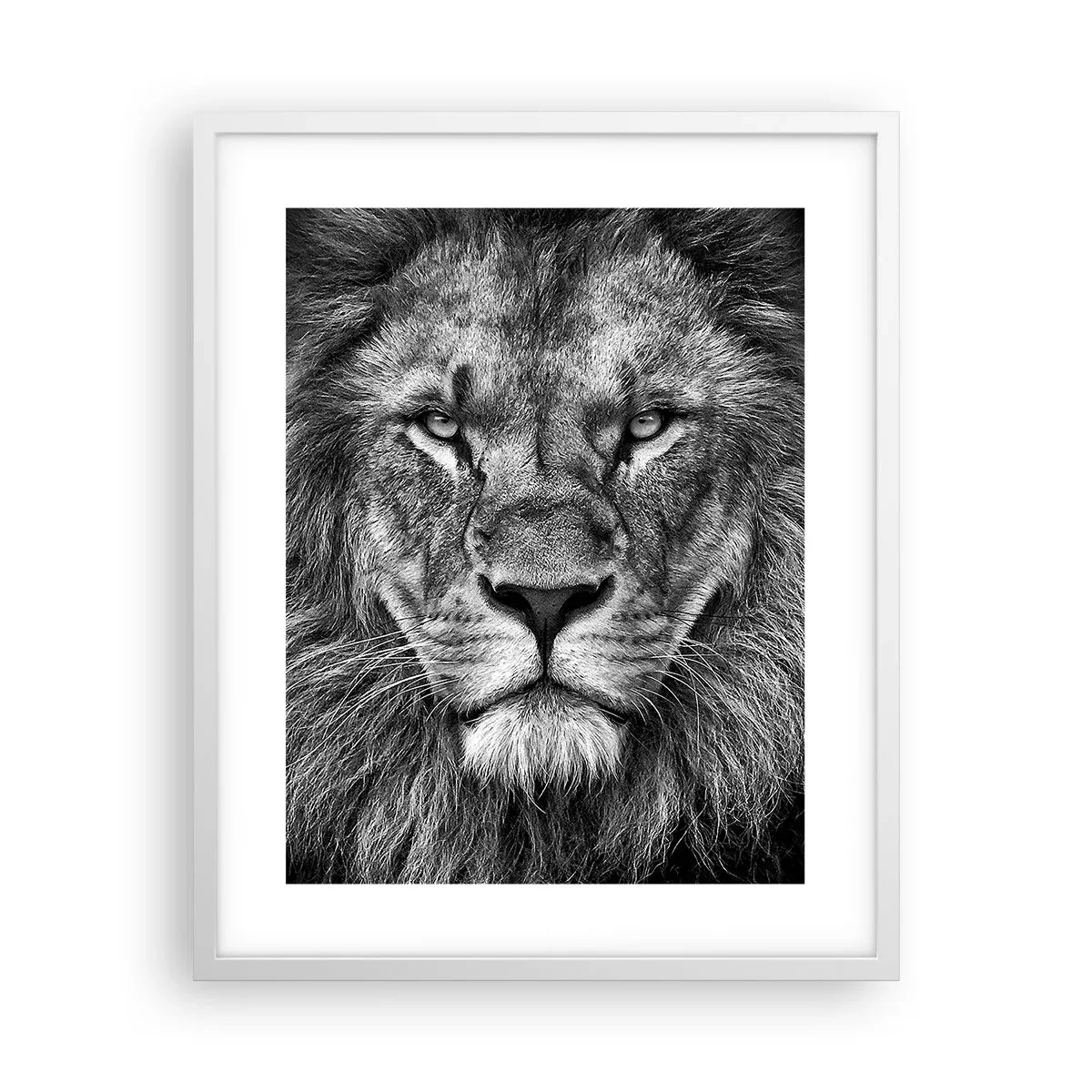 Poszter fekete keretben - Őfelségi palástban - 40x50 cm