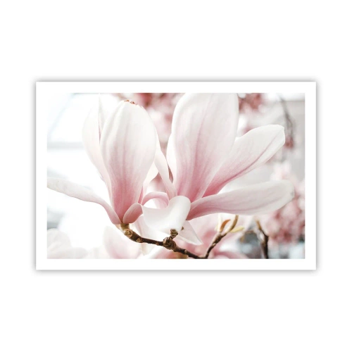 Poszter - Határtalan gyengédség - 91x61 cm