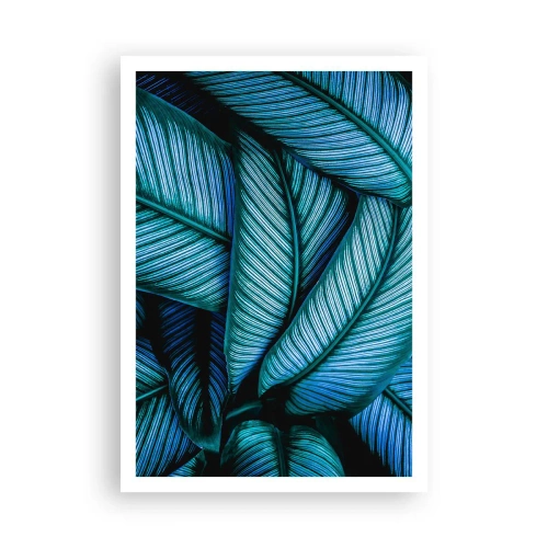 Poszter - Életvonalak - 70x100 cm