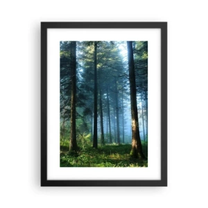 Poszter fehér keretben - Sugárzó reggel - 30x40 cm