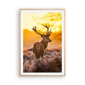 Poszter világos tölgy keretben - Az őszi erdő királya - 61x91 cm