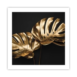 Poszter - A természet kincsei - 50x50 cm