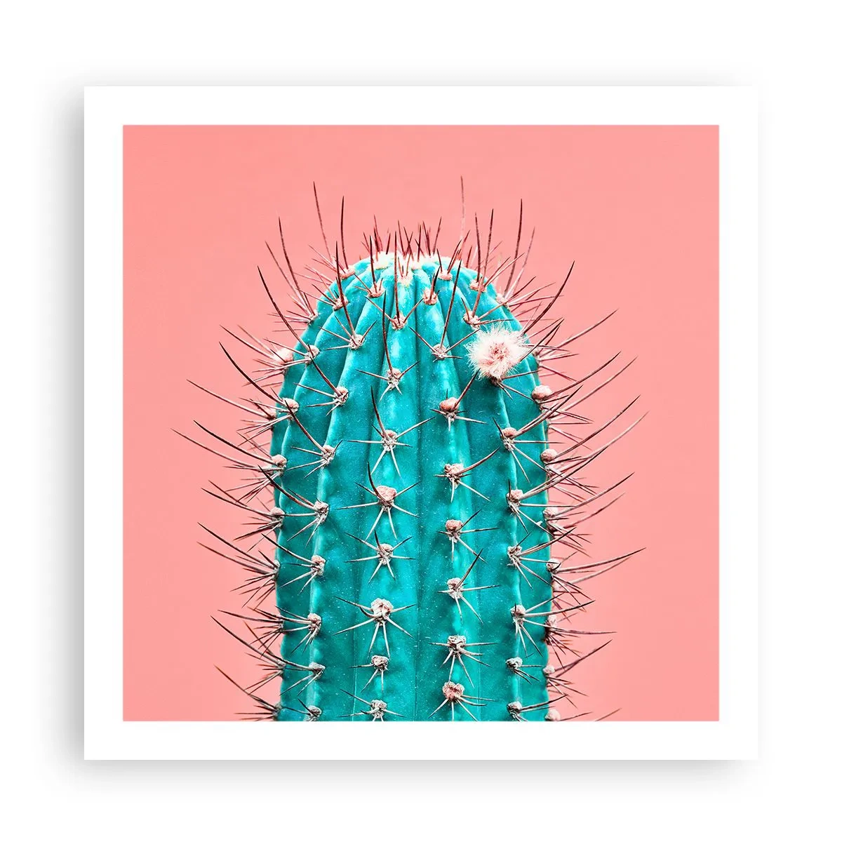 Poszter - Csak nézz - 60x60 cm