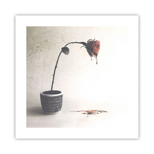 Poszter - Rosa dolorosa - 40x40 cm