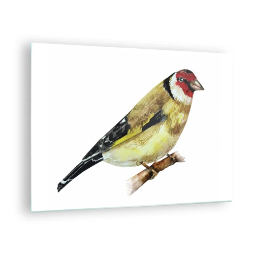 Üveg kép - Akvarell madár egy ágon, finom színekben - 70x50cm - Madárportré - Modern fali dekoráció nappalihoz és hálószobához ARTTOR