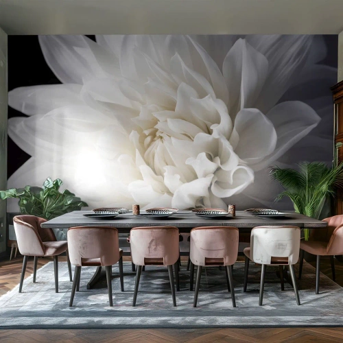 Fotótapéta Standard Eco - Menyasszony reggele - Virág, Dália, Természet - 350x256 cm