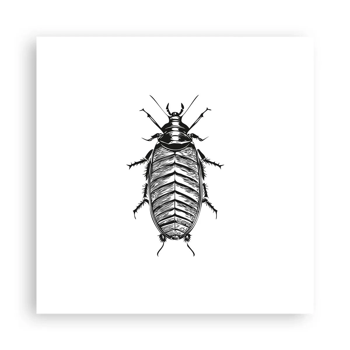 Poszter - Micsoda példány! - 40x40 cm