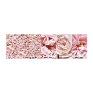 Fotótapéta Minta Standard Eco - Rózsákkal átszőve - Virágok, Pasztell, Rózsák - 100x30 cm