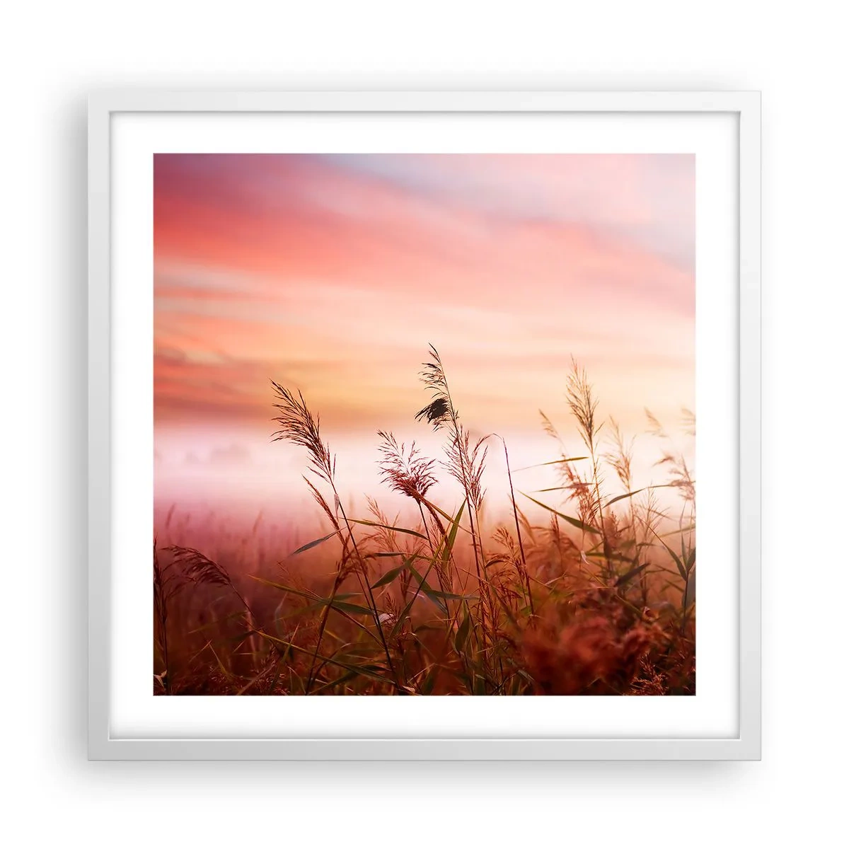 Poszter fekete keretben - Sárkányok, pitypangok, szél - 50x50 cm