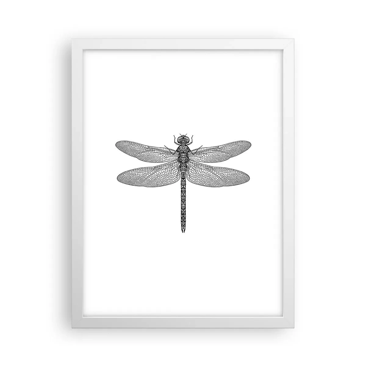 Poszter fekete keretben - A természet precizitása - 30x40 cm