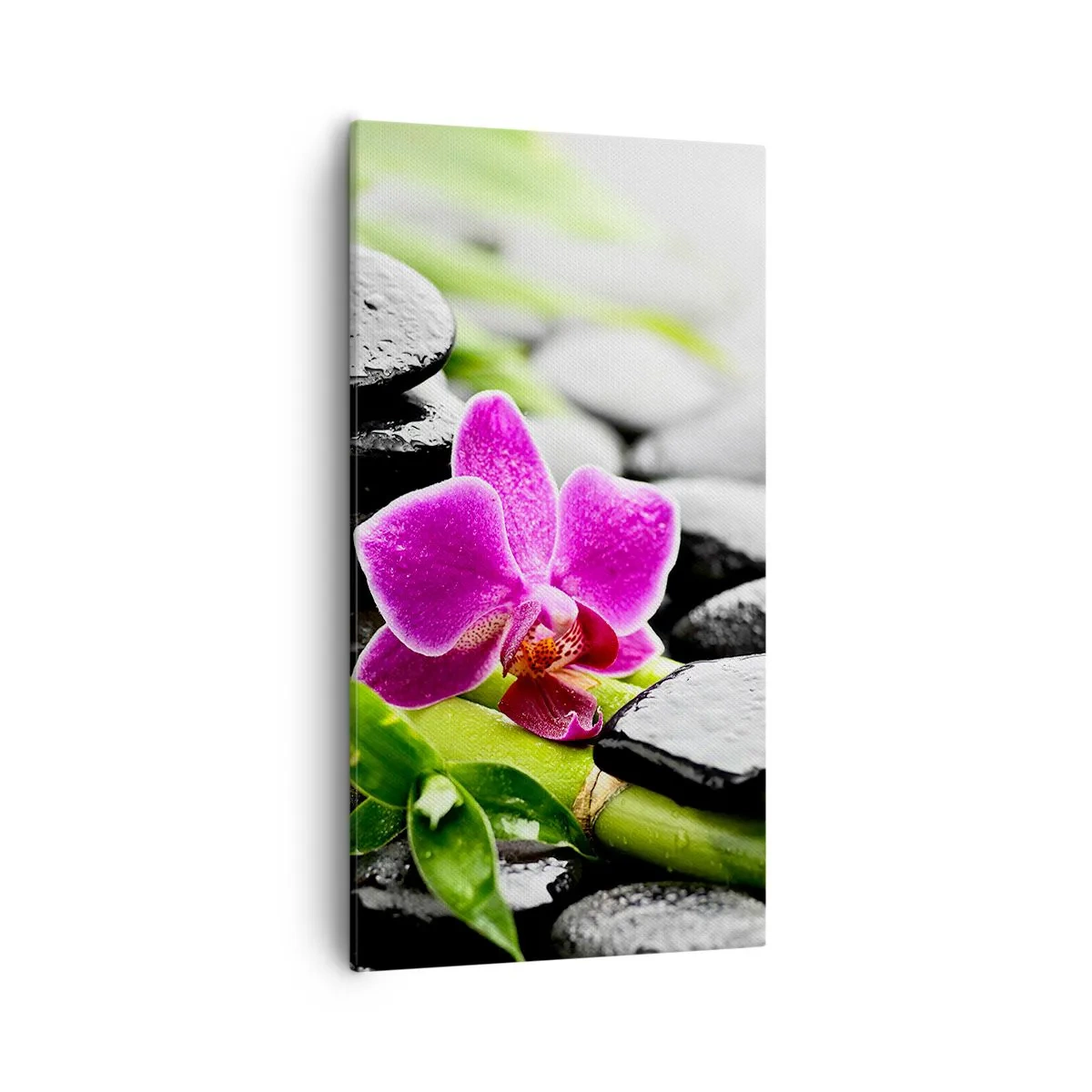 Vászonkép - Nyugodt egyensúlyban - 55x100 cm