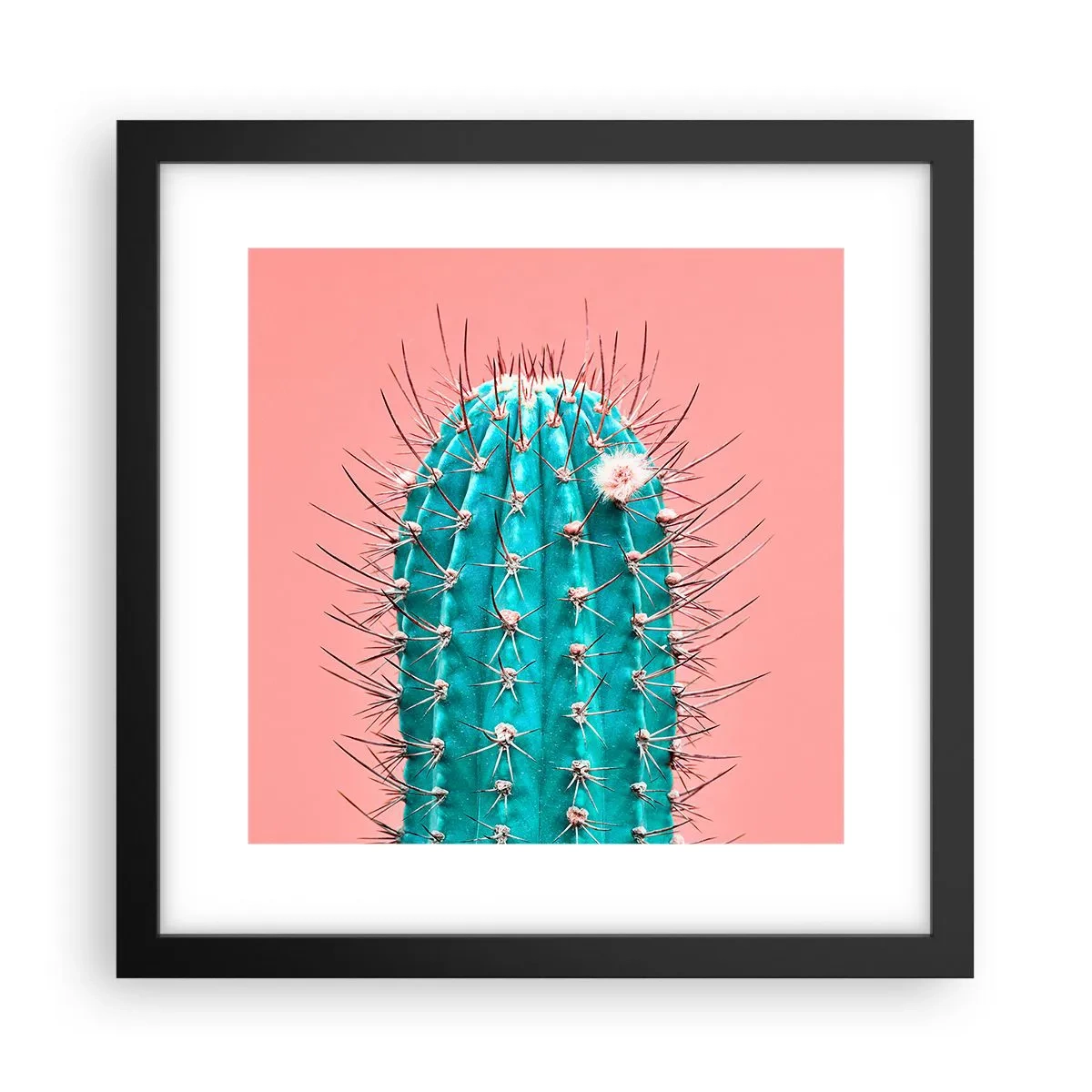 Poszter fehér keretben - Csak nézz - 30x30 cm