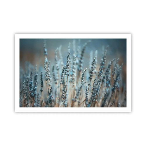 Poszter - Illatos szálak - 91x61 cm