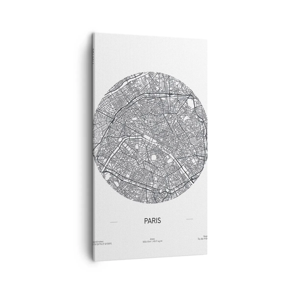 Vászonkép - Párizs anatómiája - 45x80 cm